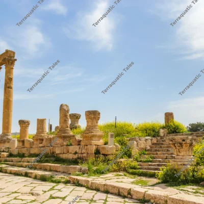 corinthian-columns-wildflowers-jerash