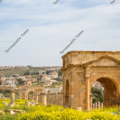 roman-arch-wildflowers-jerash