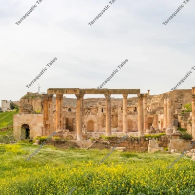 theatre-scaenae-colonnade-wildflowers