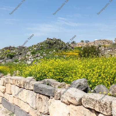 ancient-stone-wall-umm-qais