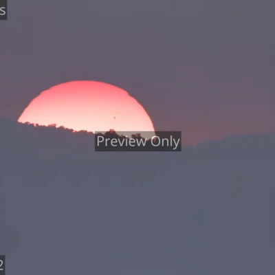 sun-setting-forest-india