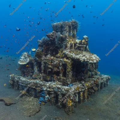 submerged-temple-artificial-reef-structure