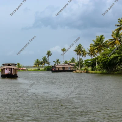 houseboats-cruising-backwaters-kerala
