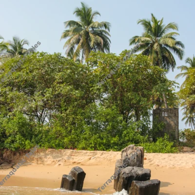 basalt-columns-tropical-beach