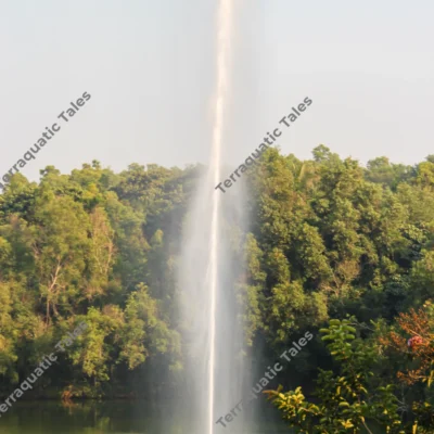 soaring-water-fountain-plume