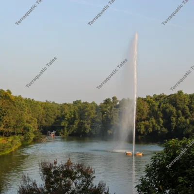 landscape-lake-aeration-fountain